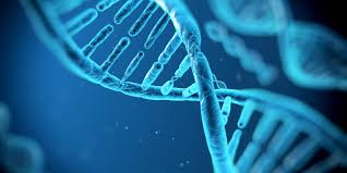 Course Image ENF02-A - GENÉTICA E BIOLOGIA MOLECULAR