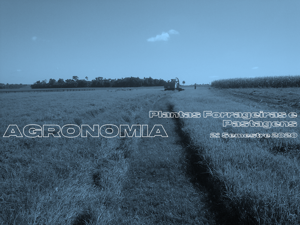 Course Image EAG06-A - PLANTAS FORRAGEIRAS E PASTAGENS