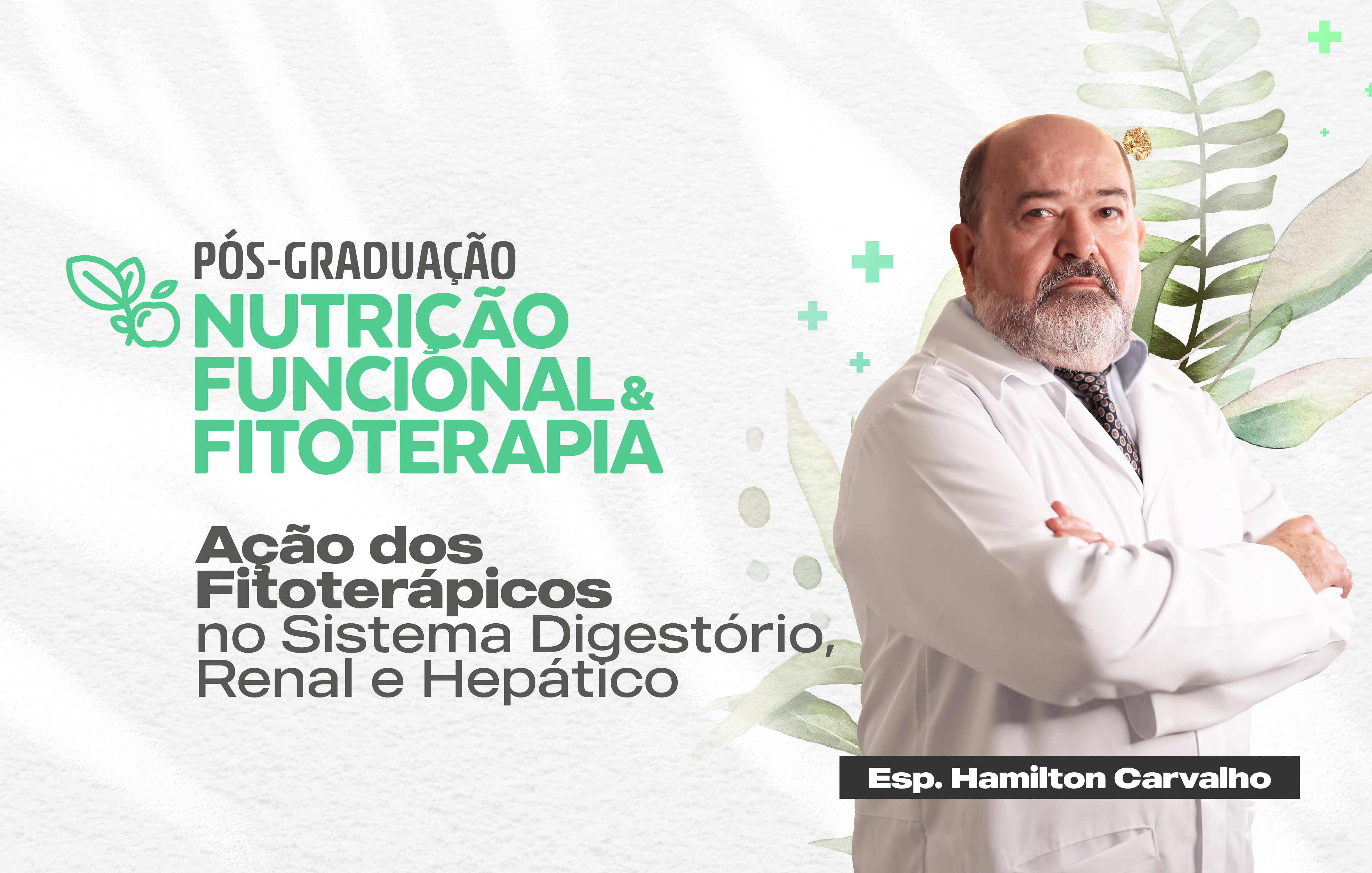 Course Image AÇÃO DOS FITOTERÁPICOS NO SISTEMA DIGESTÓRIO, RENAL E HEPÁTICO