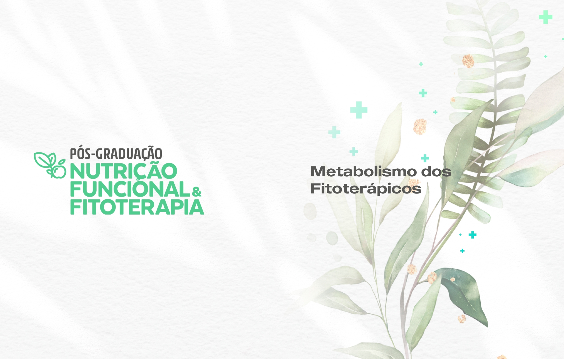 Course Image METABOLISMO DOS FITOTERÁPICOS