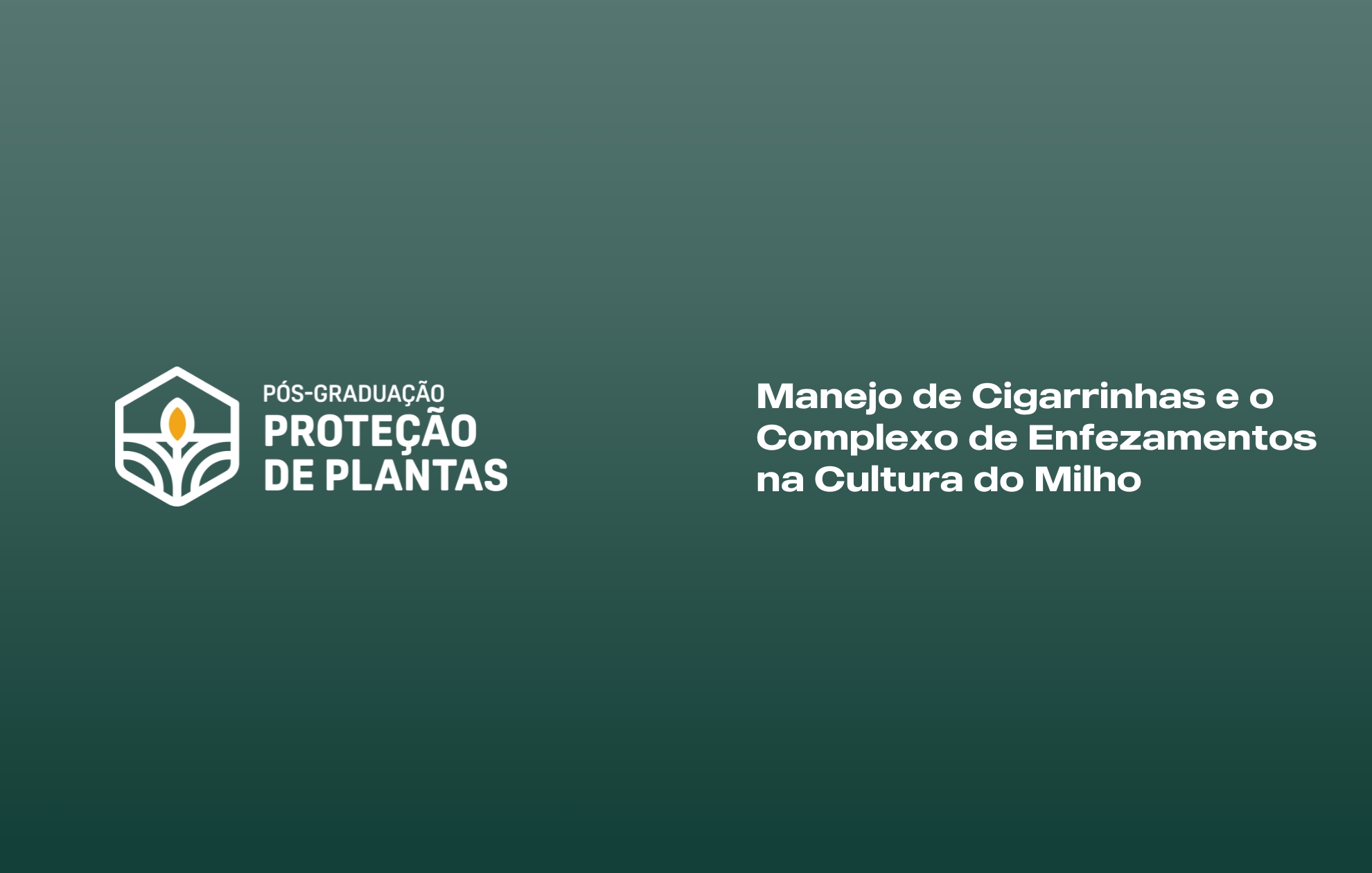 Course Image MANEJO DE CIGARRINHAS E O COMPLEXO DE ENFEZAMENTOS NA CULTURA DO MILHO