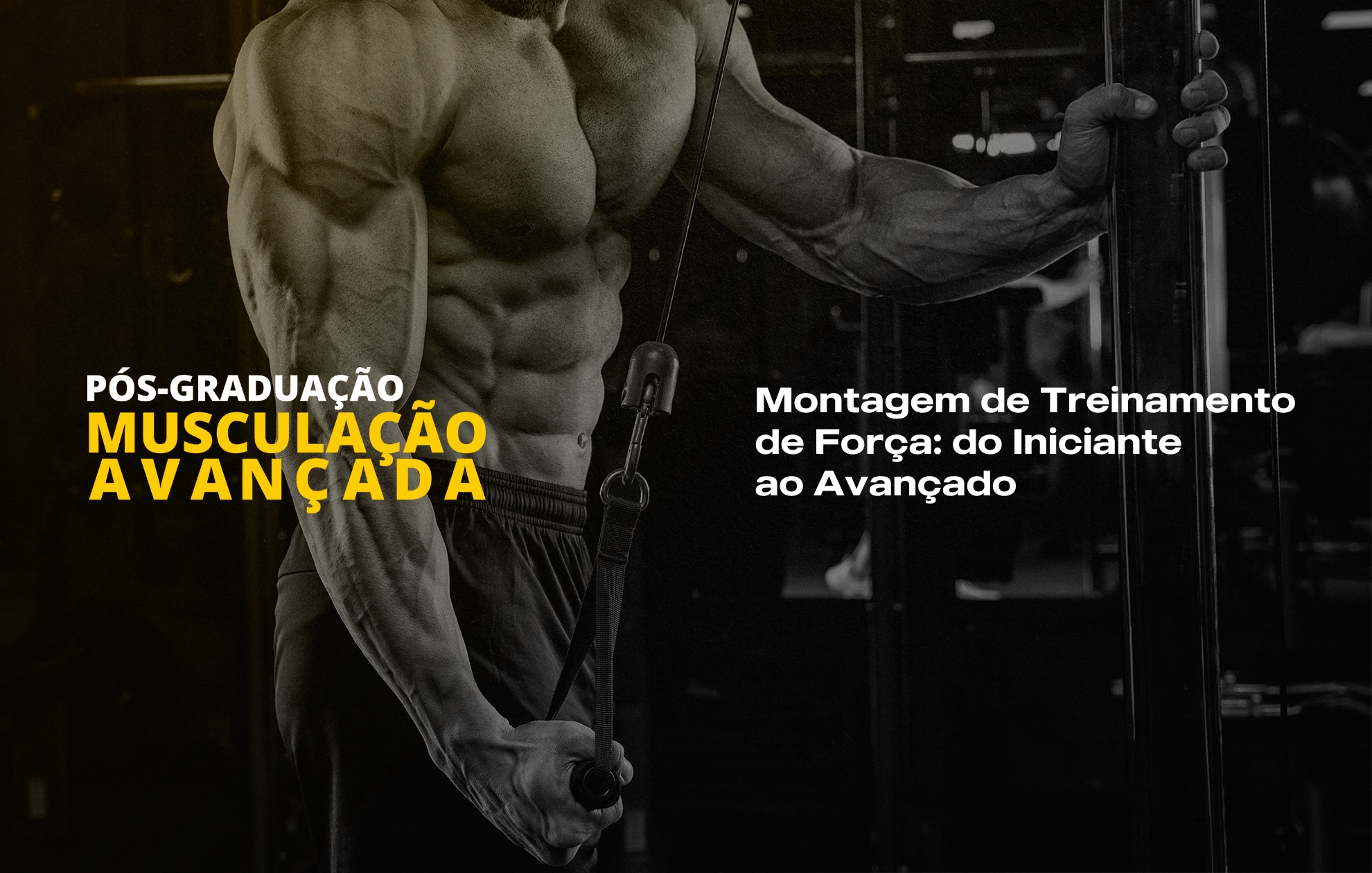 Course Image MONTAGEM DE TREINAMENTO DE FORÇA: DO INICIANTE AO AVANÇADO